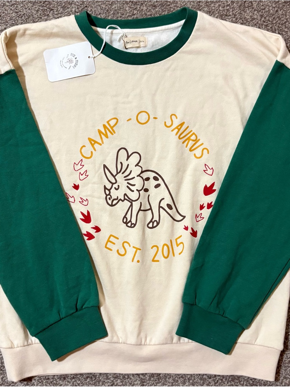 Cream & Green 'Camp-O-Saurus' Long Sleeve Sweatshirt by Softmouse Kids